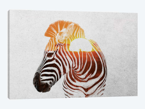 Zebra II