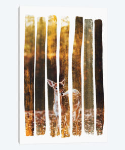 Fawn IV