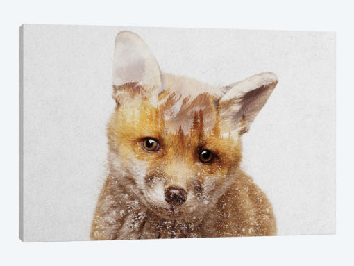Fox Cub