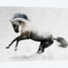 Hest II
