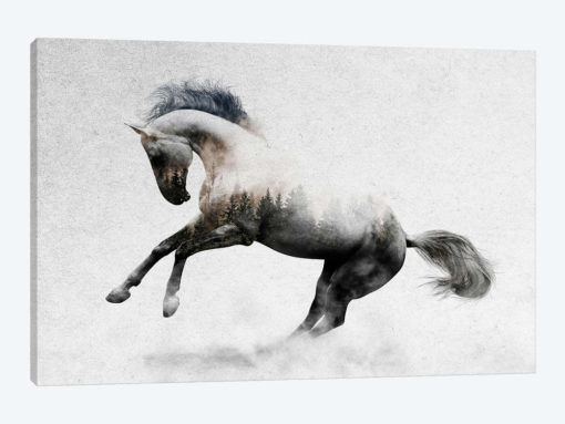 Hest II