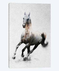 Horse IV