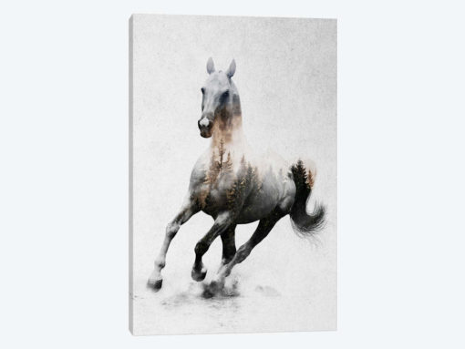 Horse IV