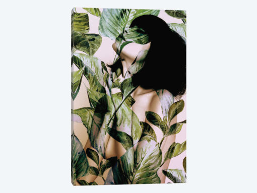 In Bloom I