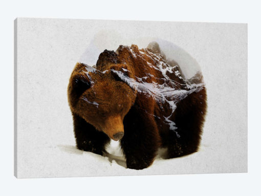Bear In The Mountains