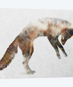 Jumping Fox