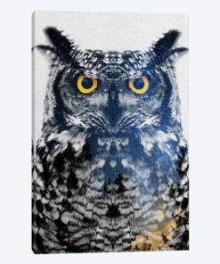 Night Owl