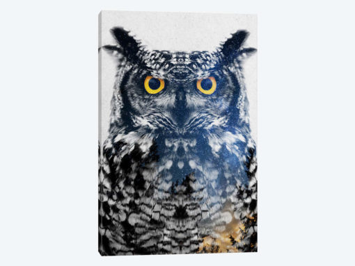 Night Owl