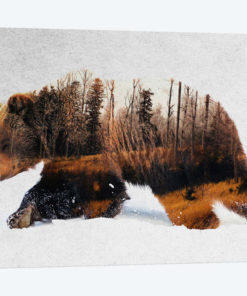 Travelling Bear
