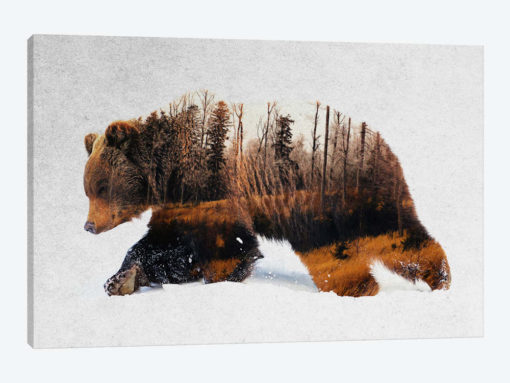 Travelling Bear