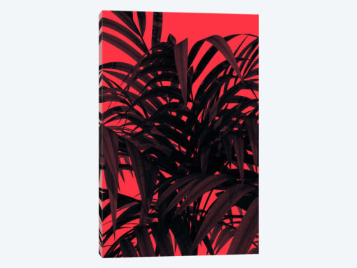 Tropic Leaf
