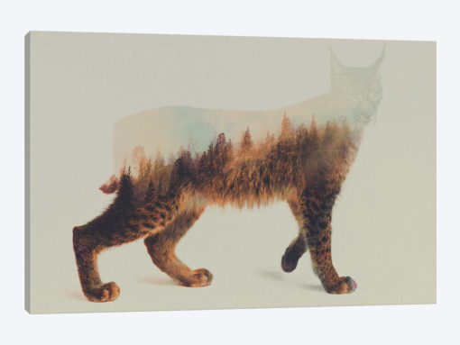 Lynx I
