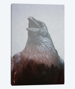 Corvus