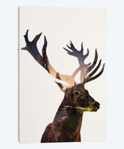 Deer In Forest