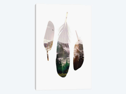 Feathers