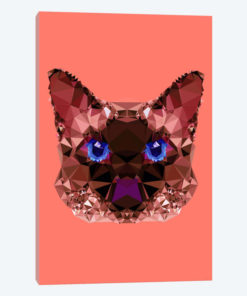Geometric Cat