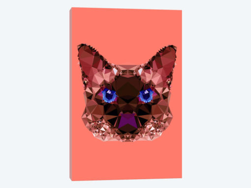 Geometric Cat
