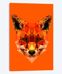Geometric Fox