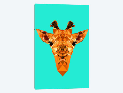 Geometric Giraffe