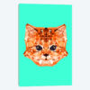Geometric Kitten