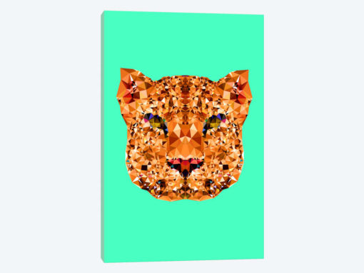 Geometric Leopard