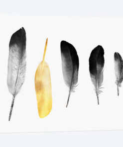 Golden Feather