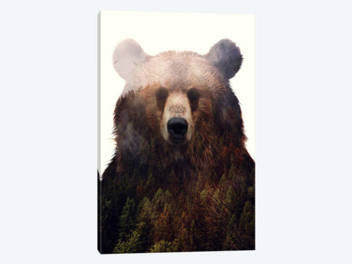 King Of The Forest