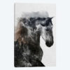 Proud Stallion