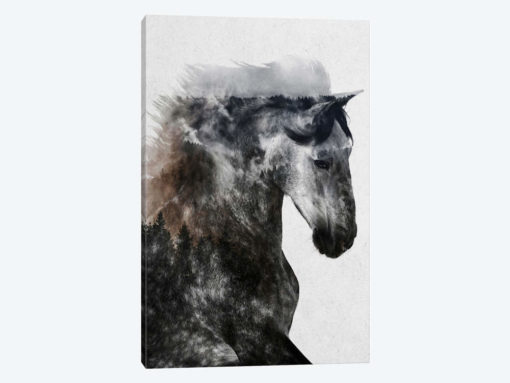 Proud Stallion