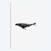 Whale