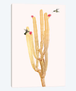 Golden Cactus II