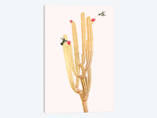 Golden Cactus II