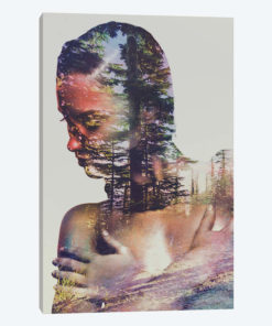 Wilderness Heart II