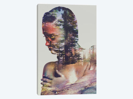 Wilderness Heart II