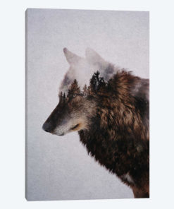 Wolf IX