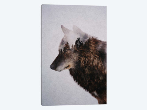 Wolf IX