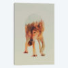 Wolf in the Woods I