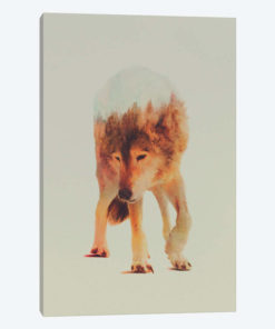Wolf in the Woods I