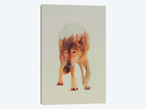 Wolf in the Woods I
