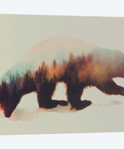 Wolverine I