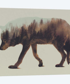 Wolf I