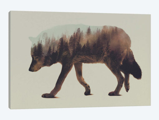 Wolf I