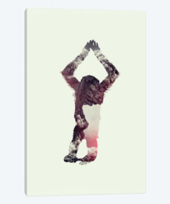 Ape