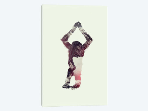 Ape