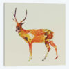 Deer II