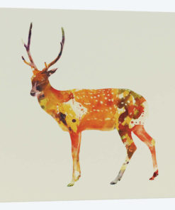 Deer II