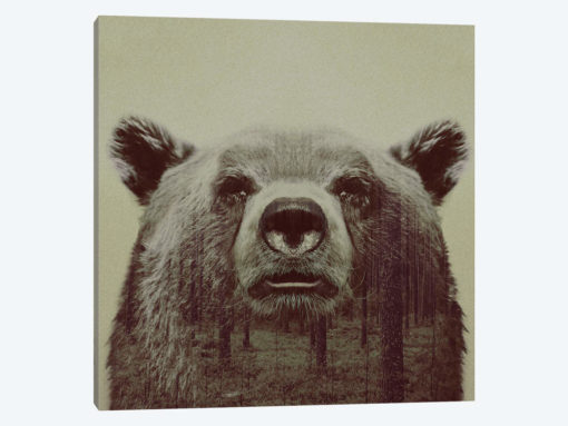 Bear II
