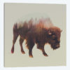 Bison I