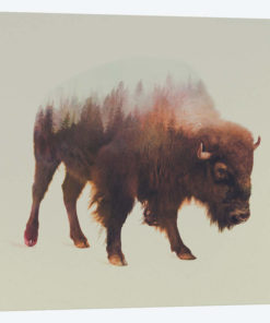 Bison I