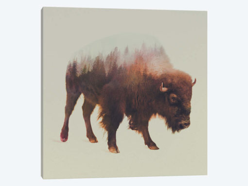 Bison I